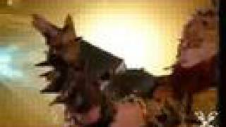 GWAR - Saddam A Go Go