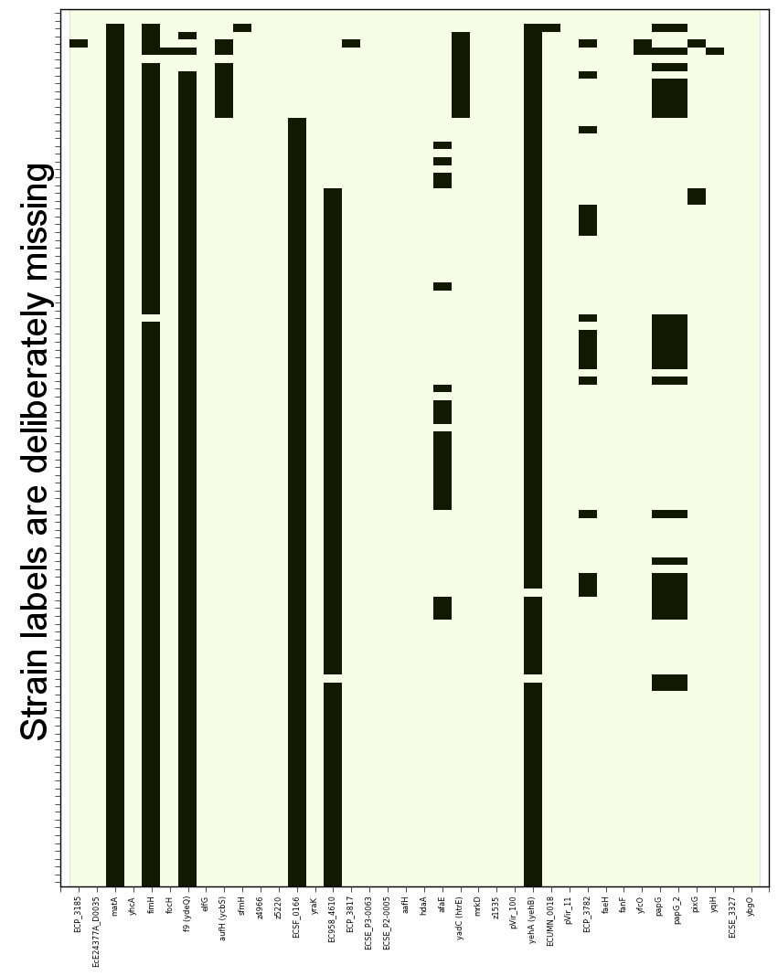 SeqFindR CU fimbriae genes image