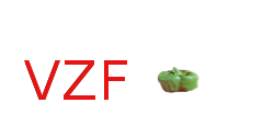 VZF logo