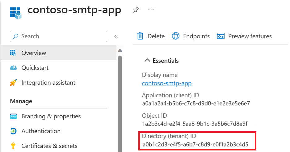 Screenshot showing finding the Entra Tenant ID