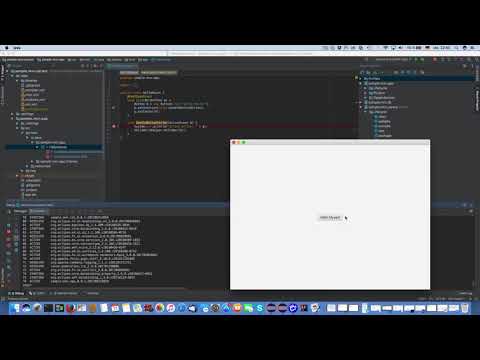 IntelliJ IDEA Sample Video