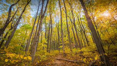 Fall colors in Shenandoah National Park, Virginia (© Michael Ver Sprill/Getty Images)