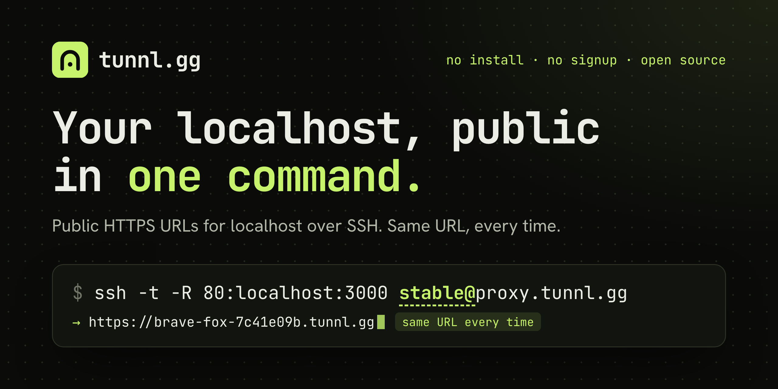 tunnl.gg: your localhost, public in one command