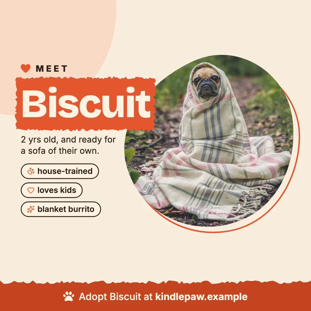 An adoption post for Biscuit, a pug, from a template with one row per dog