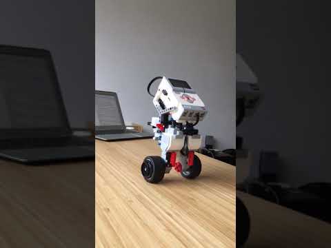 Two Way Inverted Pendulum Robot