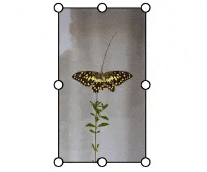 Perspective-ezgif-com-optimize