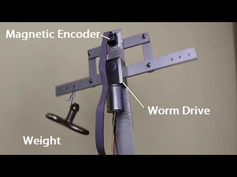 Testing worm drive life span