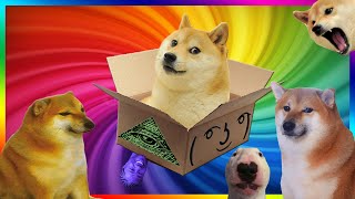 Doge Unboxing  such boxception, very unboxing 