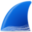 wireshark