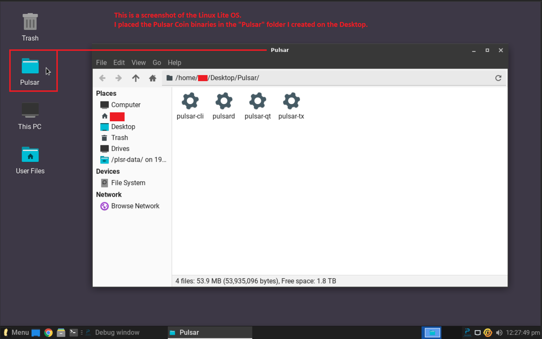 Linux Lite OS hosting the Pulsar Coin wallet environment