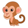 monkey