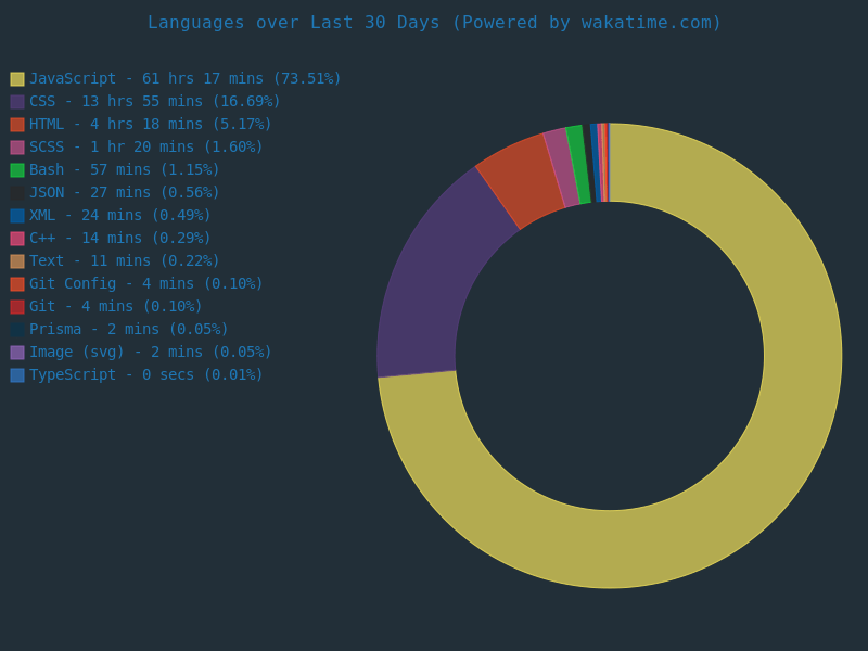 My coding languages stats