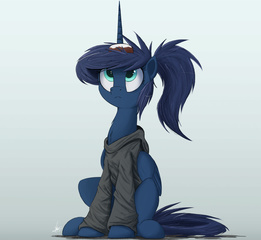 pony image