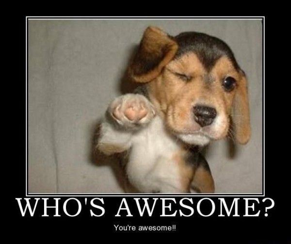 You're awesome!