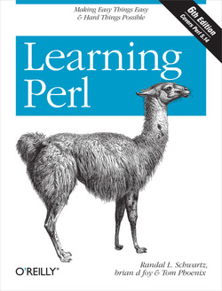 Perl Book