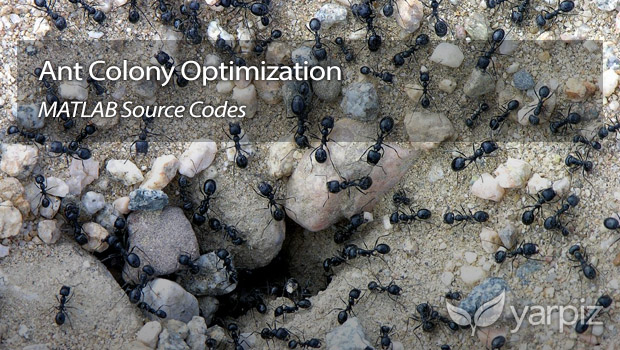 Ant Colony Optimization in MATLAB