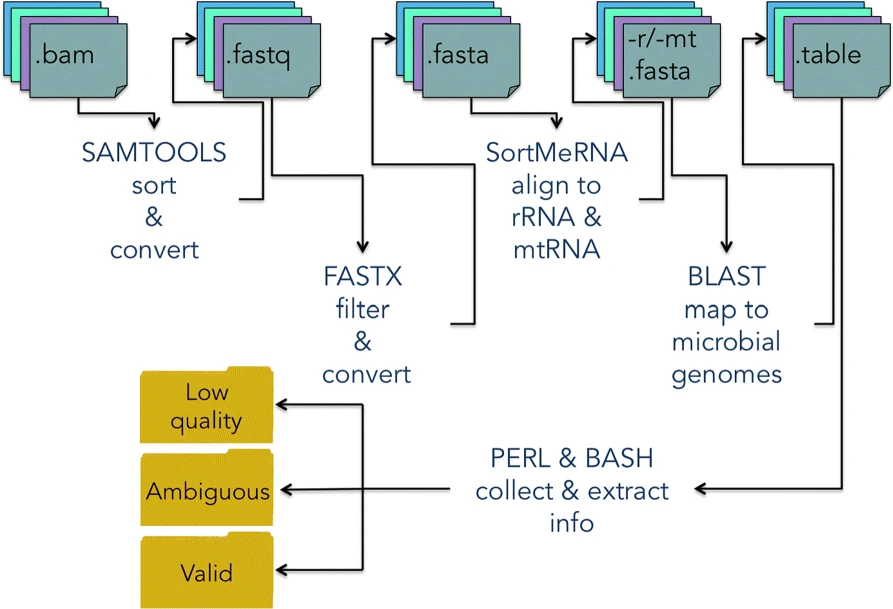 Image of Decontaminer PipeLine