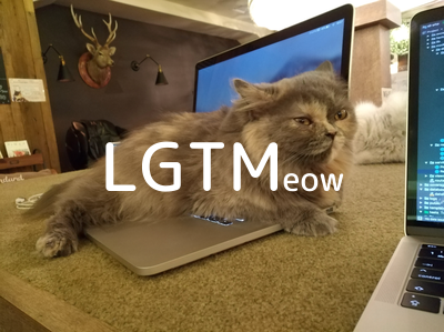 LGTMeow