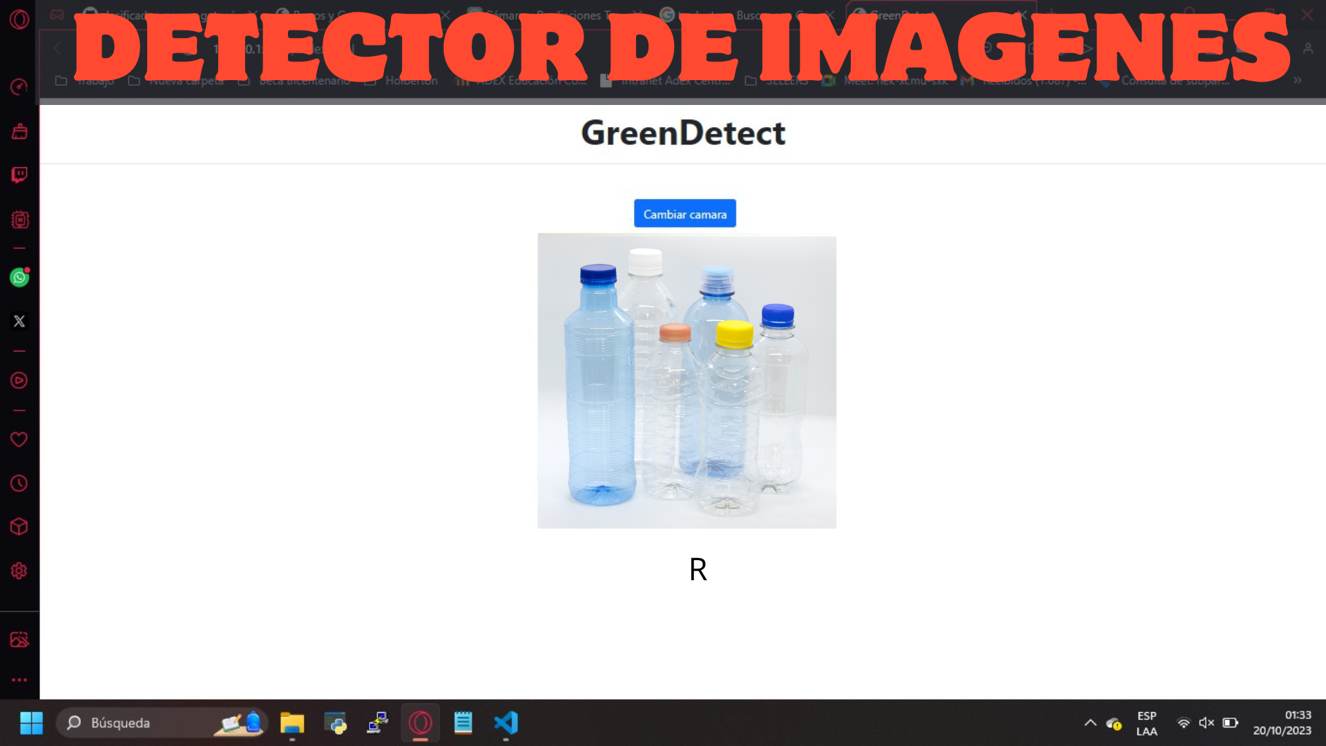 DETECTOR DE IMAGENES WEB