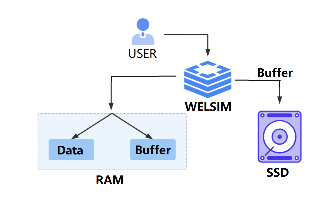 welsim_data_cache