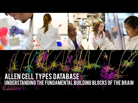 Allen Institute Video