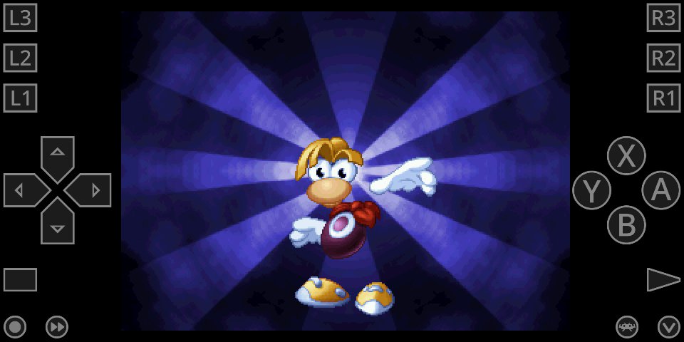 RayMan