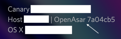 OpenAsar-Version