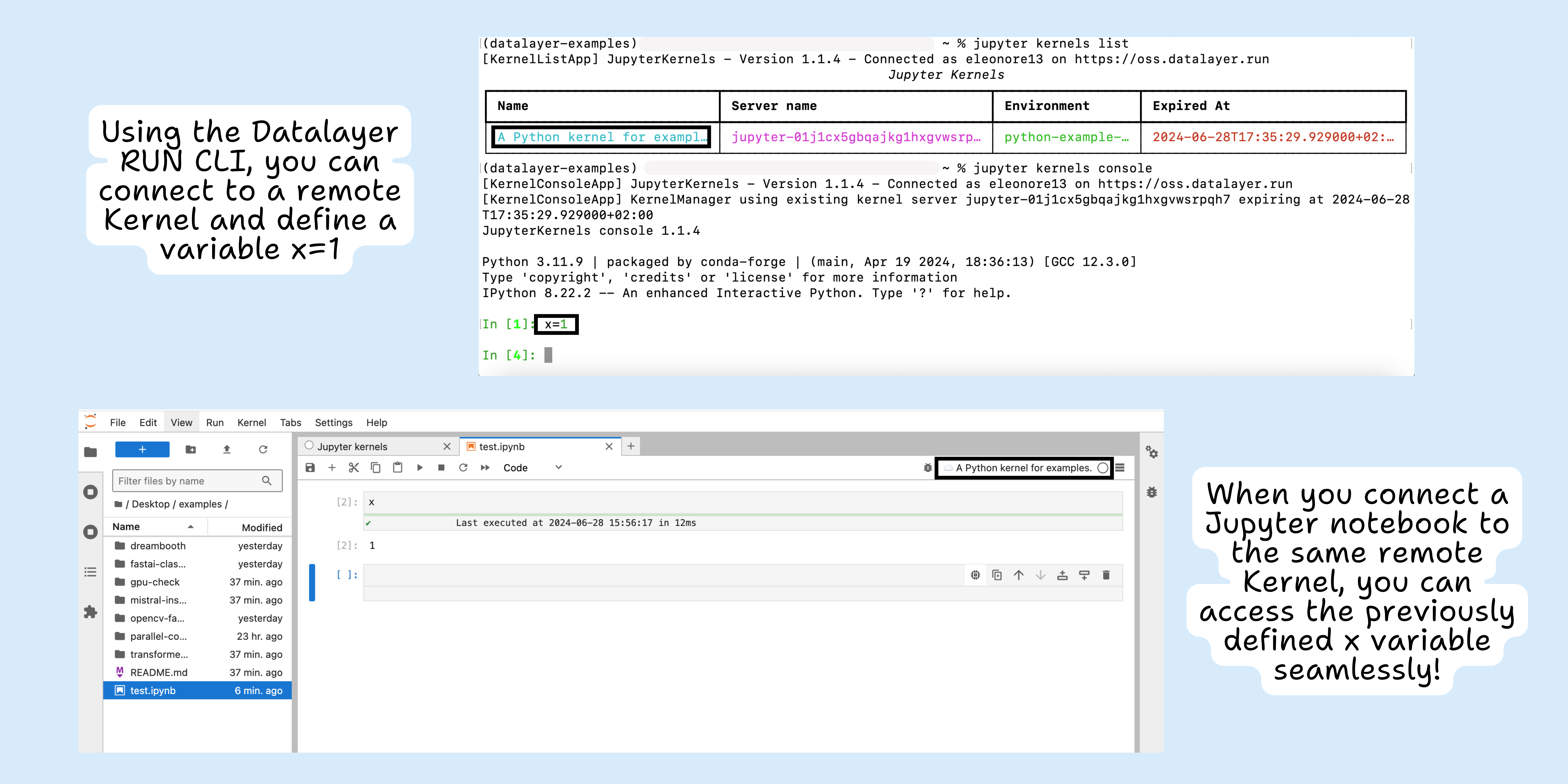 Remote Notebook Execution