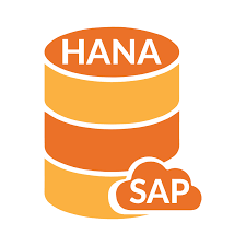 SAP HANA 