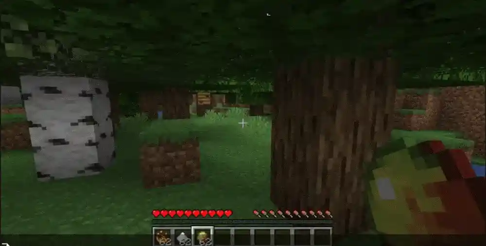 gif1