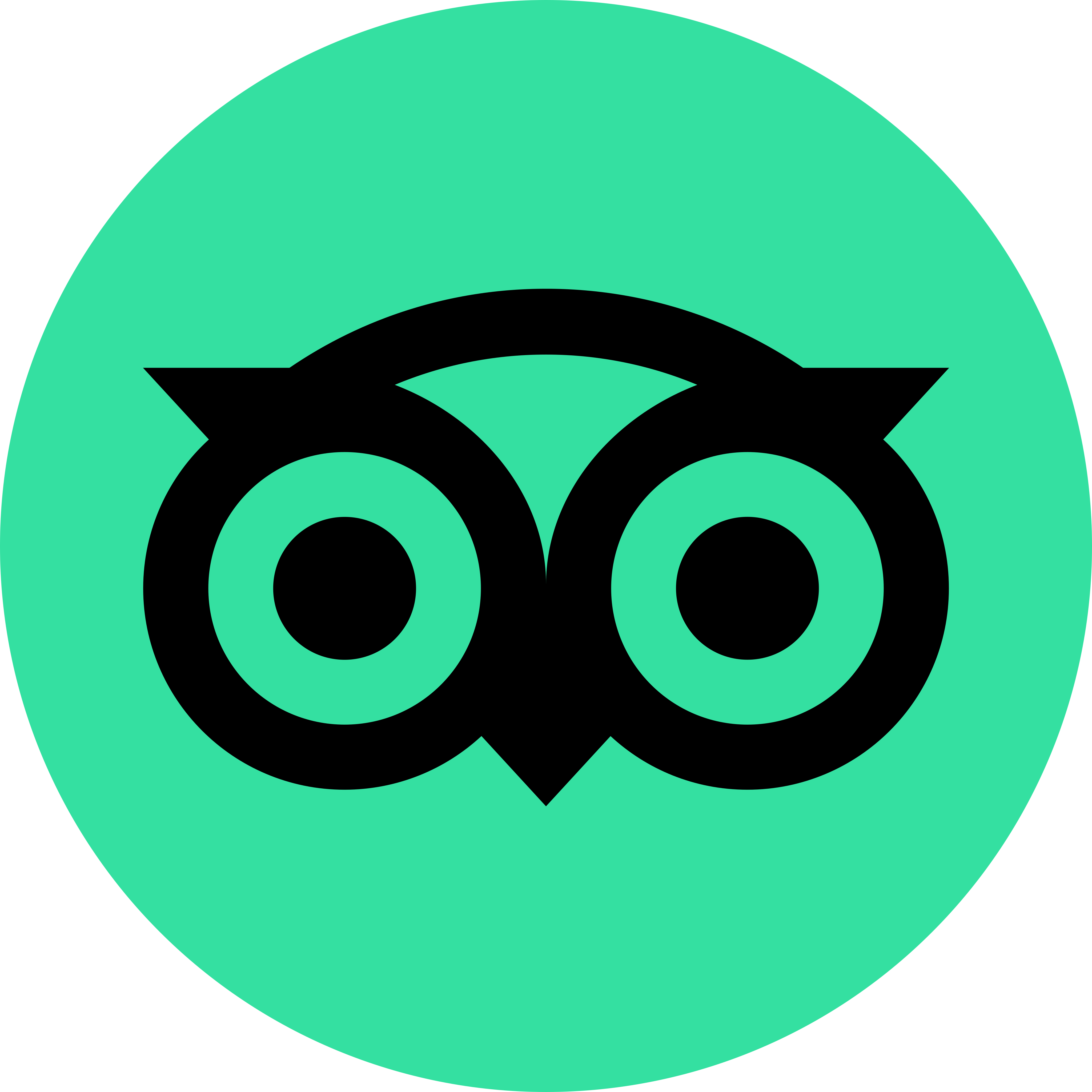 tripadvisor logo