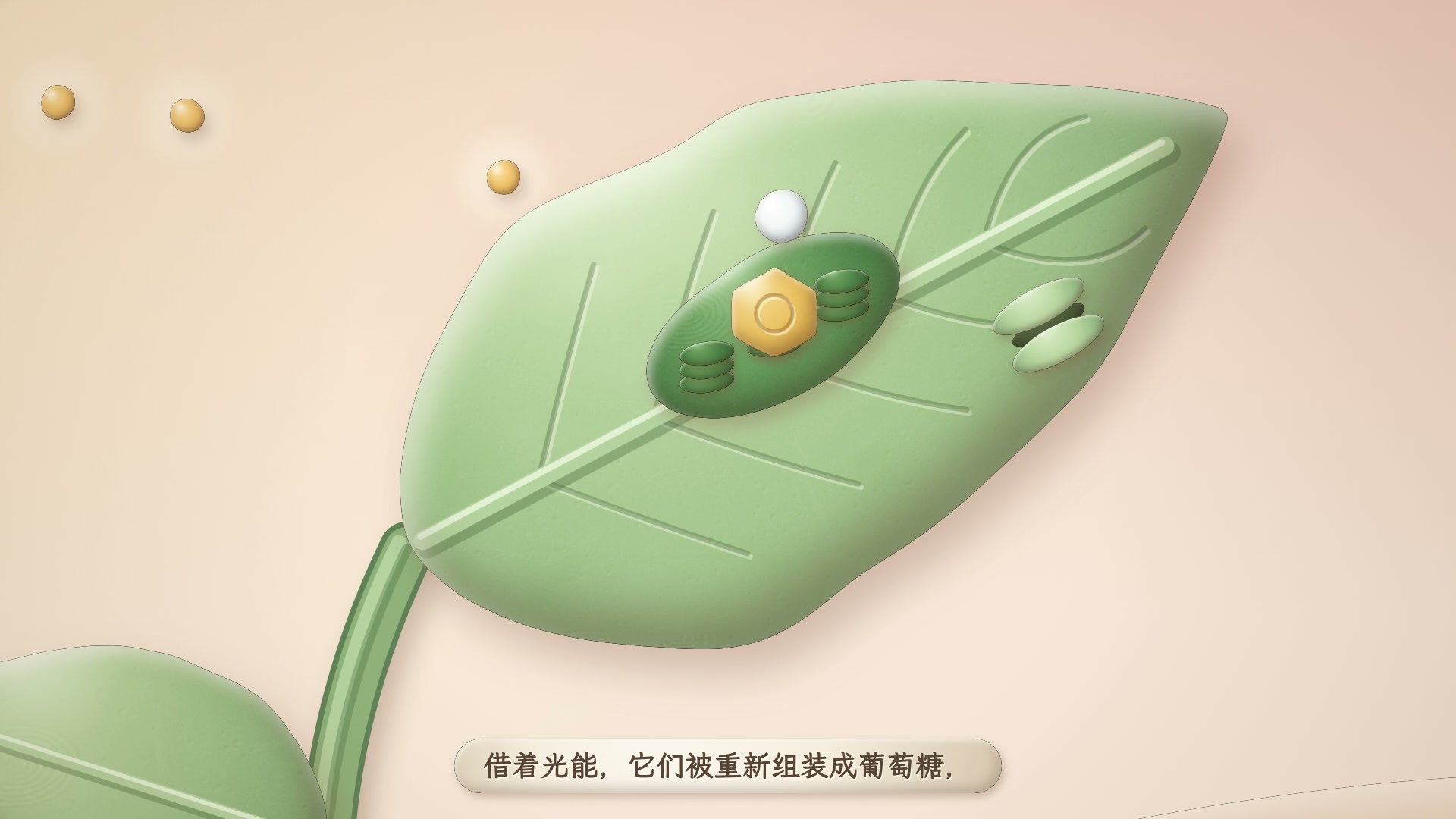 软陶黏土 · 科普讲解 · 横屏