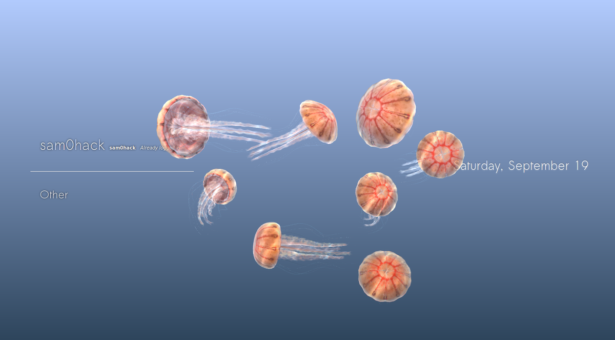 Image of Chrysaora jellyfish