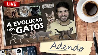 A evolução dos gatos (Adendo - Parte 2: continuação depois do CRASH do Youtube)