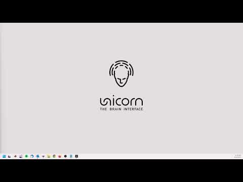 Unicorn Hybrid Black Tutorial: Unity Unity Interface