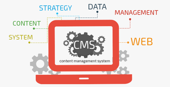 How can find good CMS and Web Development companies in India & USA