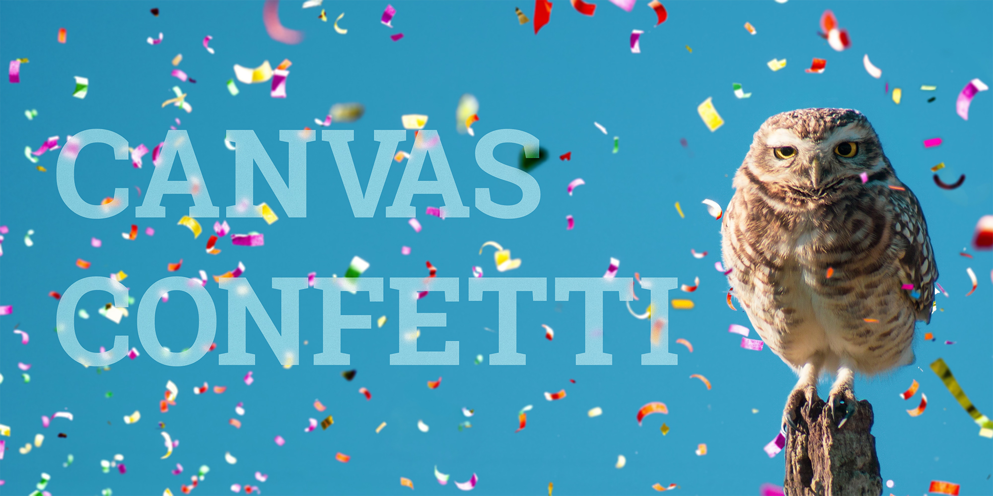 Canvas Confetti ES modules