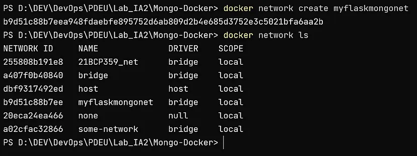 All Docker Networks