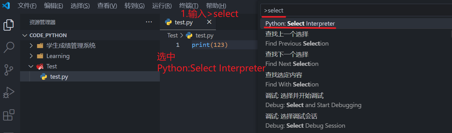 Python_interpreter_1