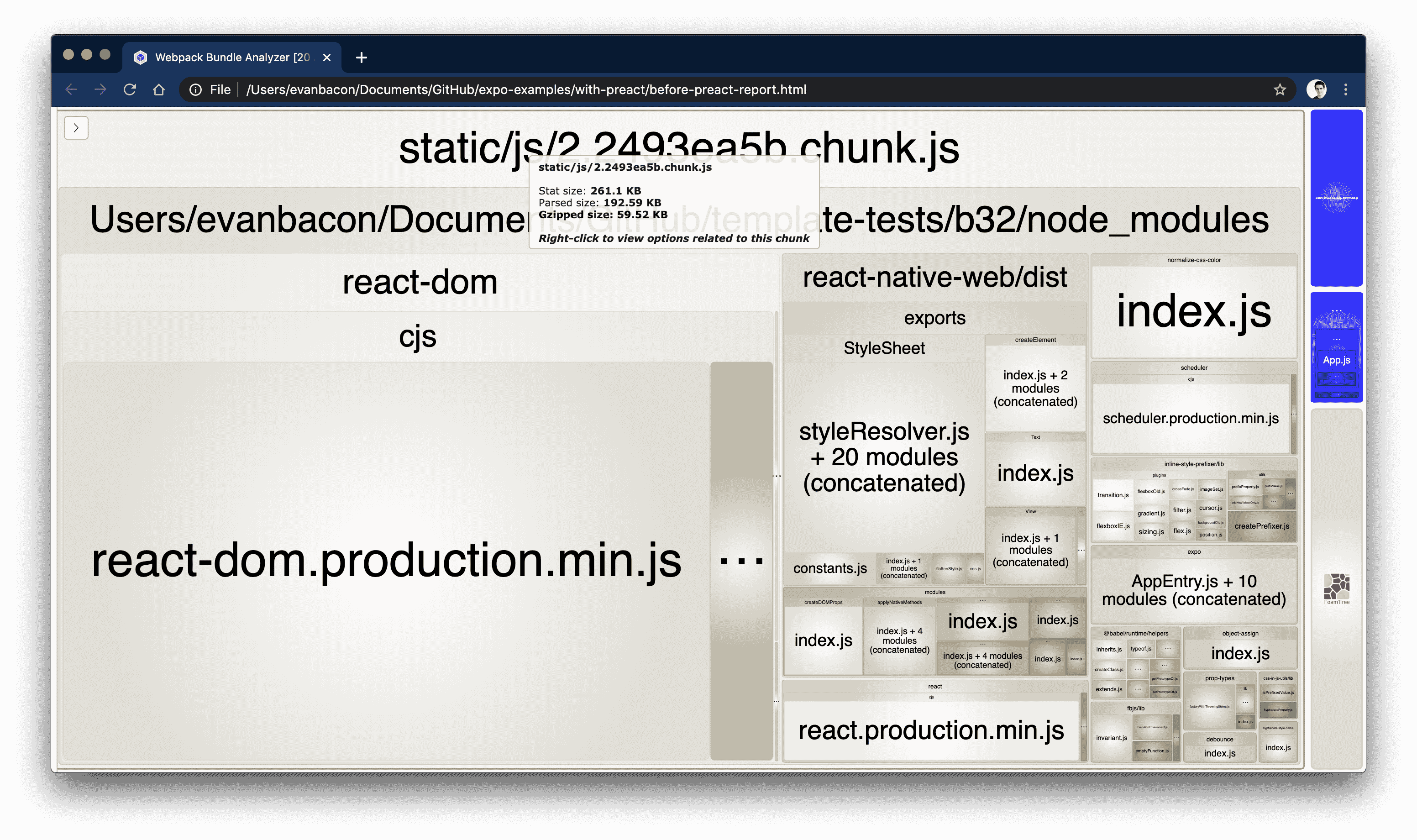 expo web bundle without preact