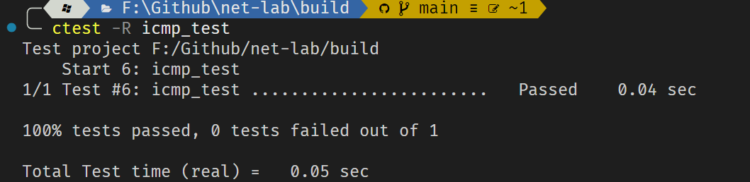 net_lab_icmp_result