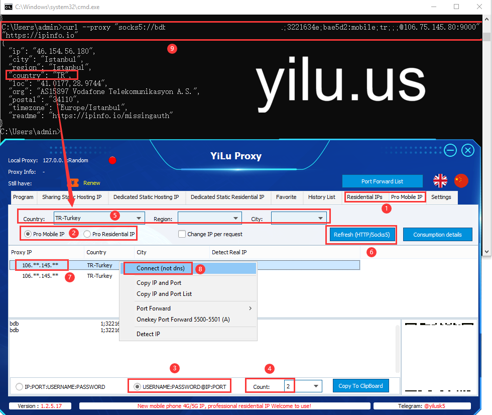 cURL with Proxy