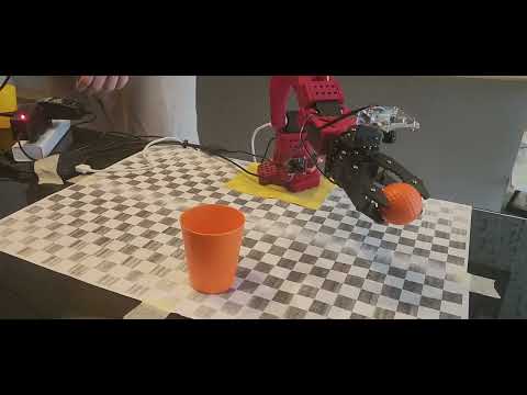 DOT model on SO-ARM100 robot following moving cup