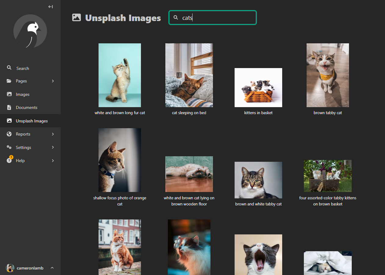 Screenshot showing wagtail-unsplash search results