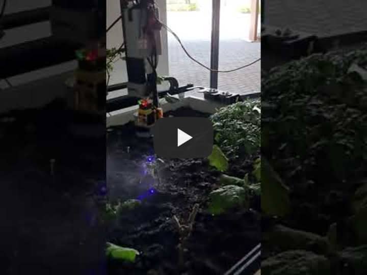 Plant Test 1 + Water