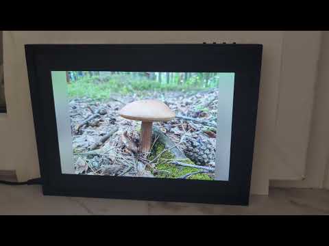 Demo