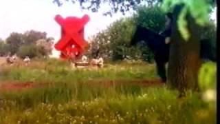 Rügenwalder Originalwerbung