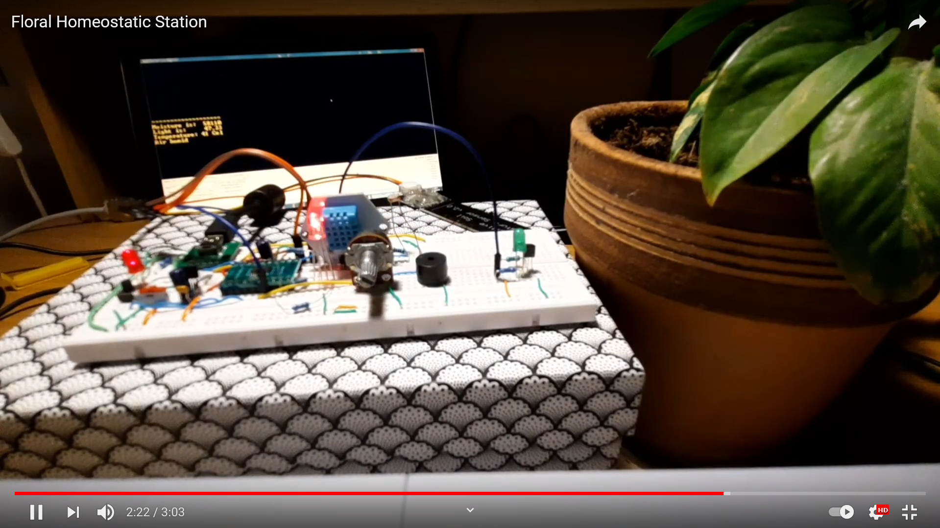 Eufloria v.1 on STM32