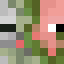 ZombiePigmanFace.png