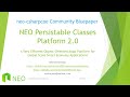 NEO Persistable Classes Platform 2.0: Deep Dive